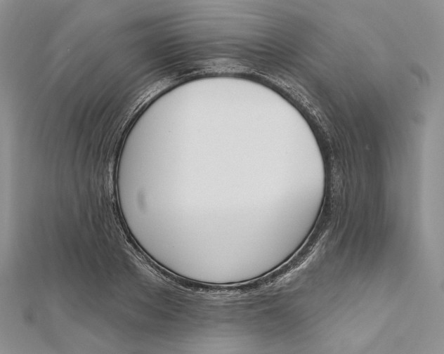 X0000112500889200908311450