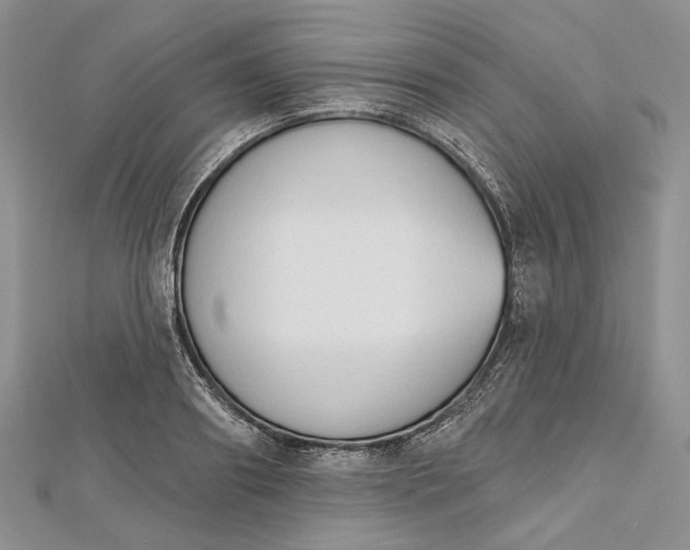 X0000112500890200908311450