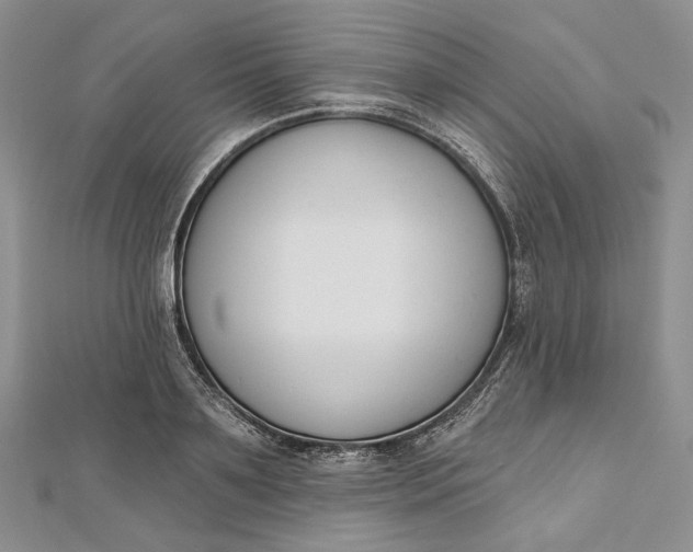 X0000112500891200908311450