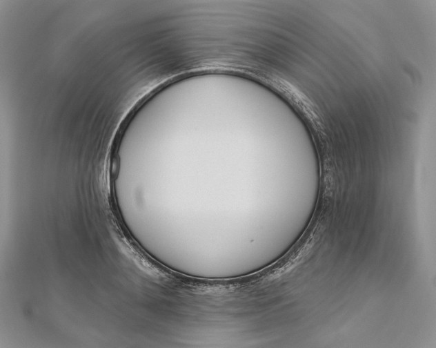 X0000112500892200908311450