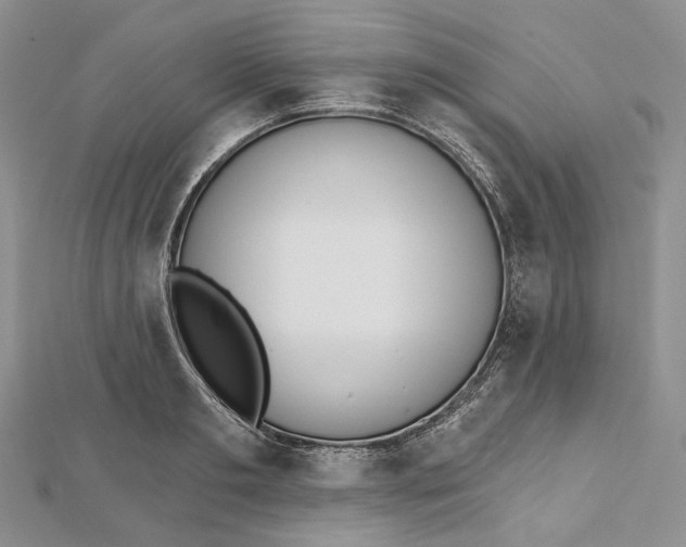 X0000112500893200908311450