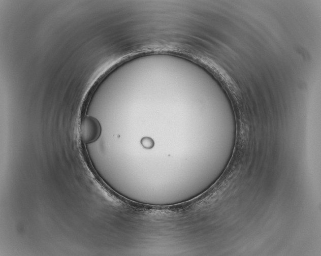 X0000112500894200908311450