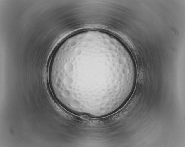 X0000112500895200908311450