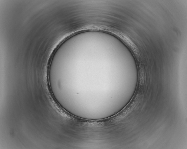 X0000112500896200908311450