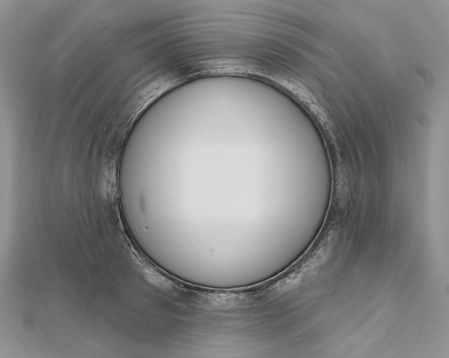 X0000112500897200908311450