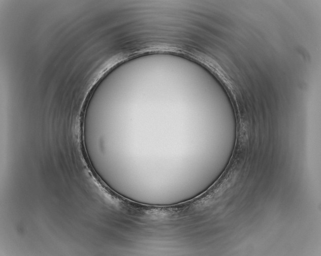 X0000112500898200908311450