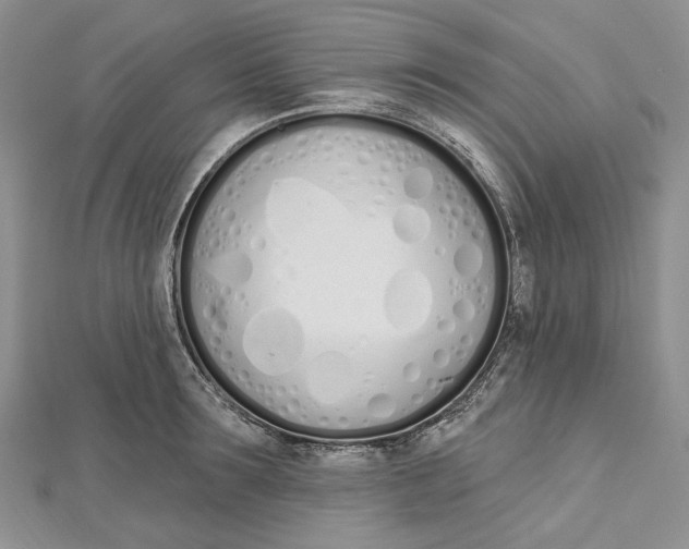 X0000112500899200908311450