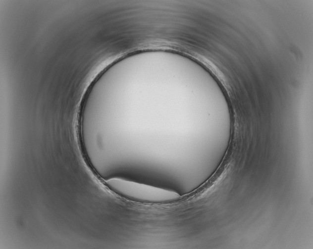 X0000112500901200908311449