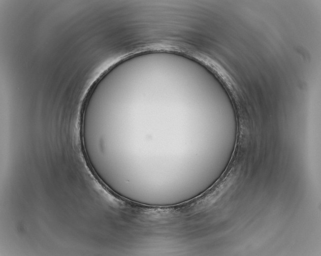 X0000112500902200908311449