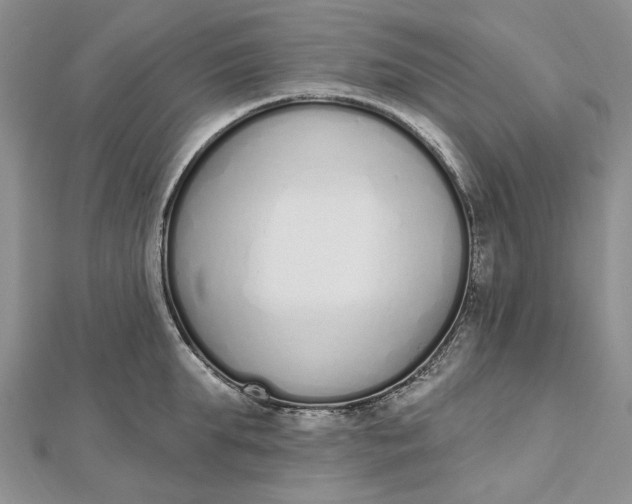 X0000112500903200908311449