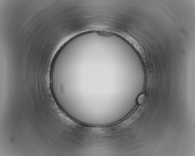 X0000112500904200908311449