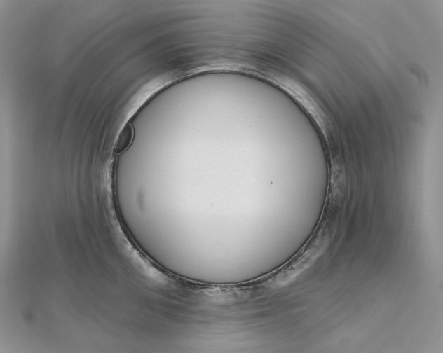 X0000112500906200908311449