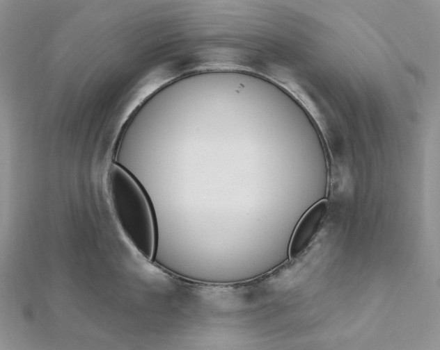 X0000112500909200908311449