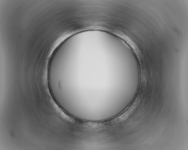 X0000112500910200908311449