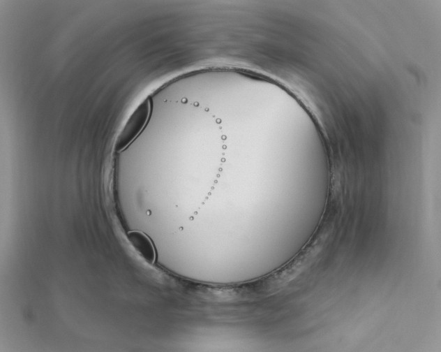 X0000112500911200908311449