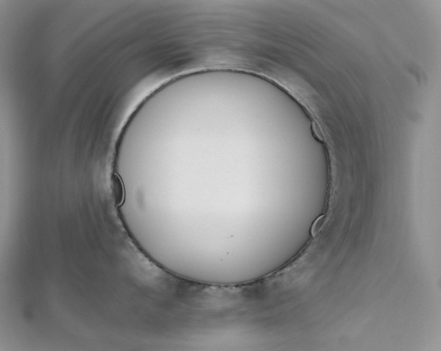 X0000112500912200908311449