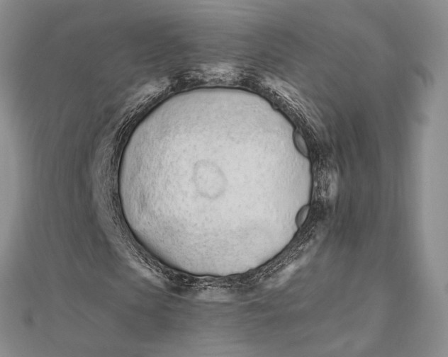 X0000112500913200908311449