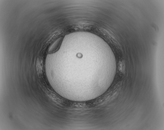 X0000112500915200908311449