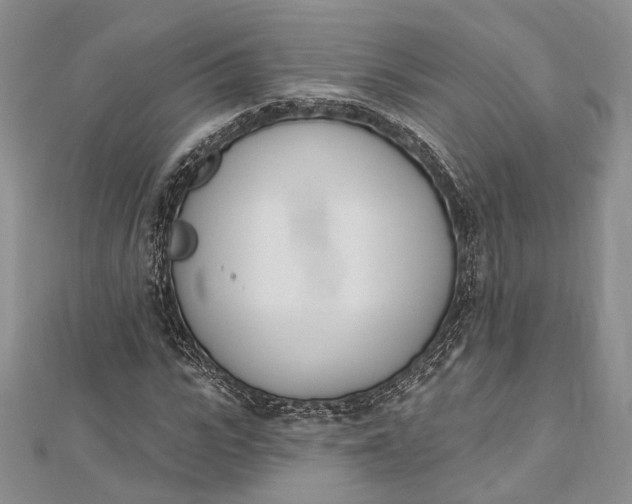 X0000112500919200908311449