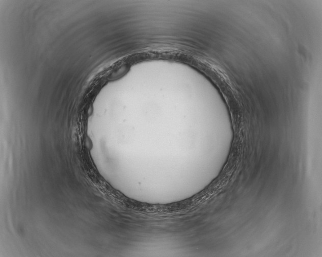 X0000112500920200908311449