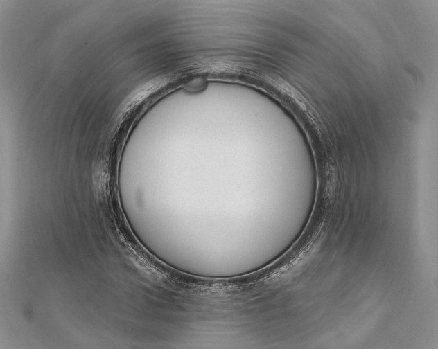 X0000112500922200908311449