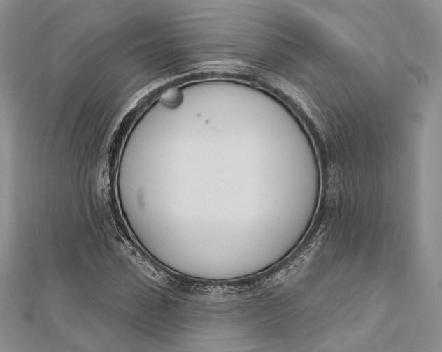 X0000112500923200908311449