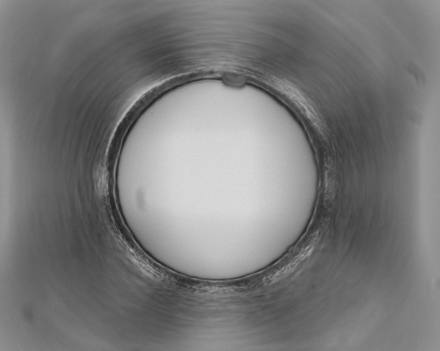 X0000112500924200908311449