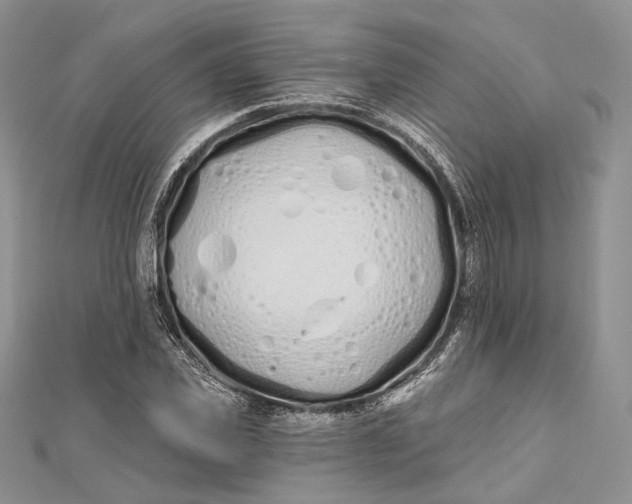 X0000112500925200908311449