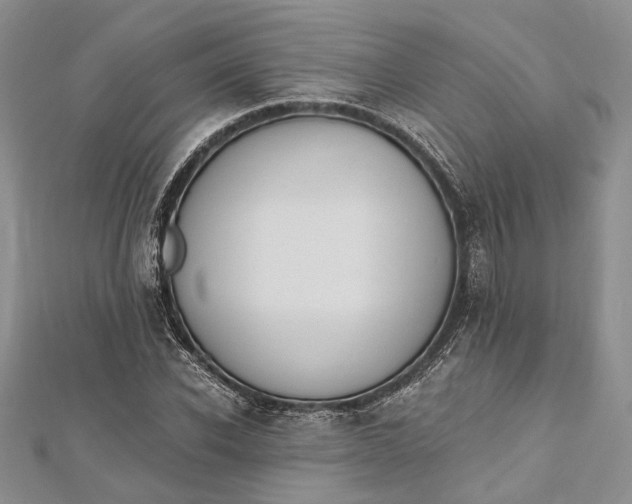 X0000112500926200908311449