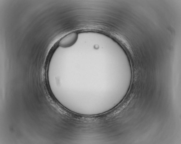 X0000112500928200908311449