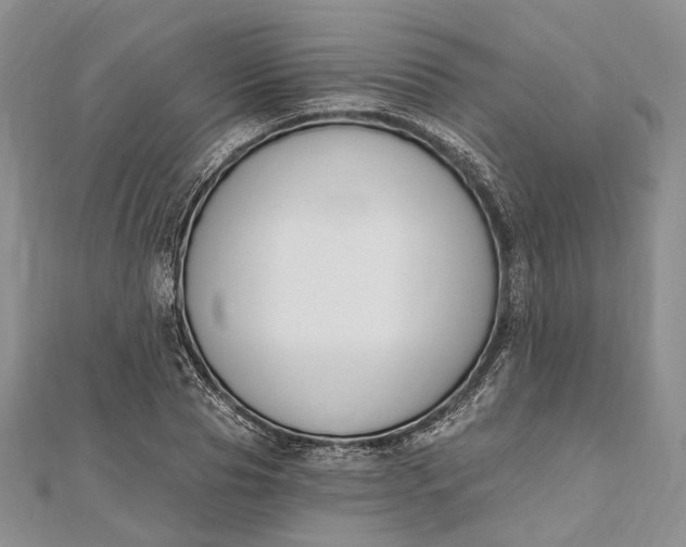 X0000112500929200908311449