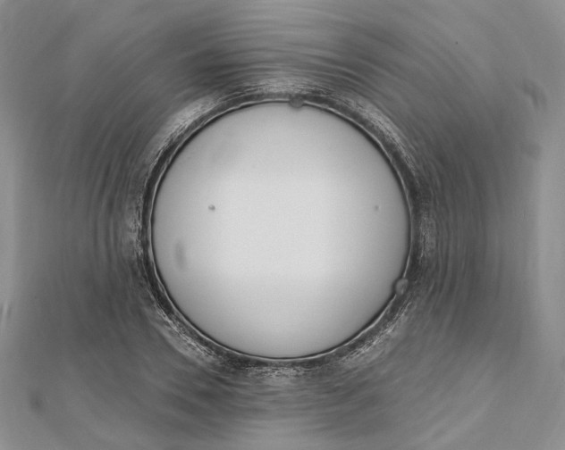 X0000112500930200908311449