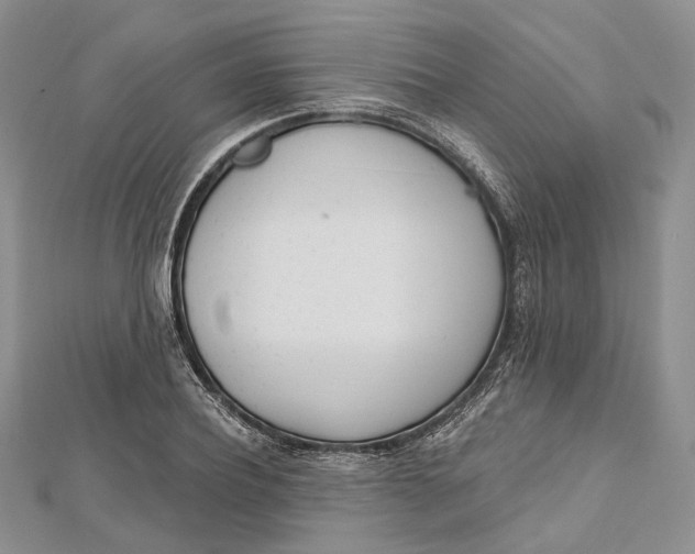 X0000112500932200908311449