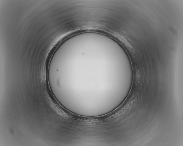 X0000112500934200908311449