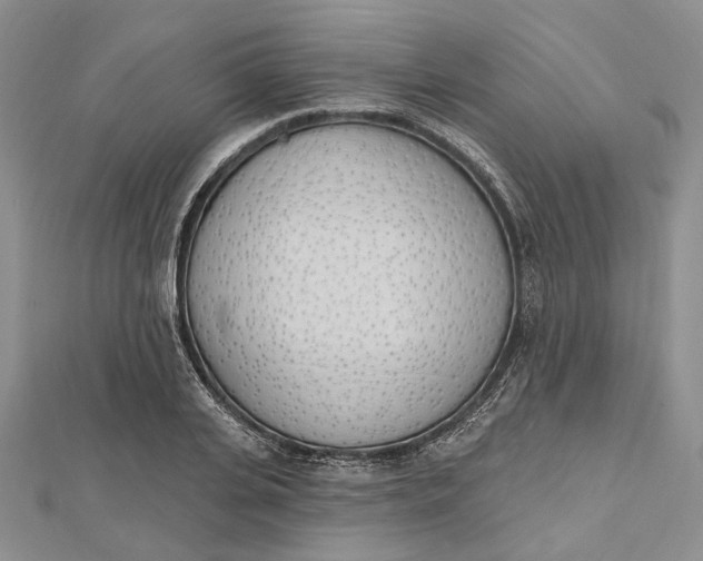 X0000112500935200908311449