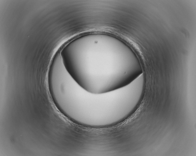 X0000112500936200908311449