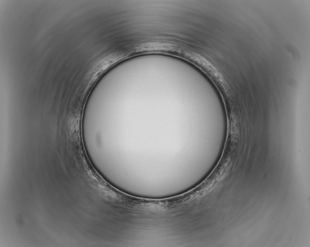 X0000112500937200908311449