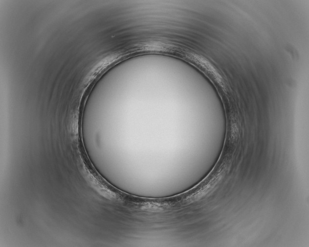 X0000112500938200908311449