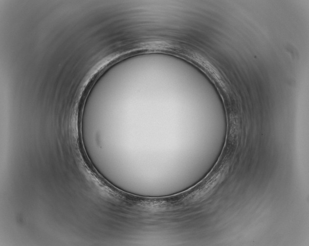 X0000112500939200908311449