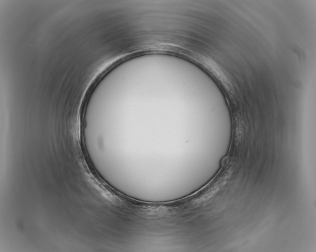 X0000112500940200908311449