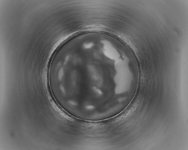 X0000112500941200908311449