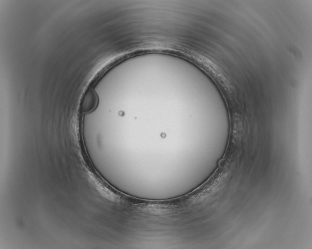 X0000112500942200908311449