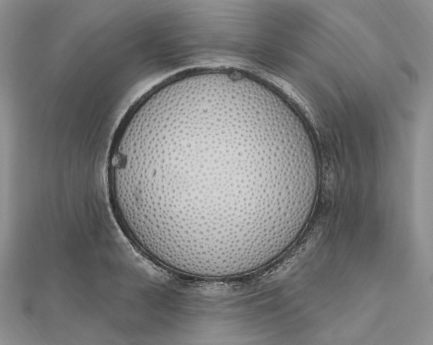 X0000112500943200908311449