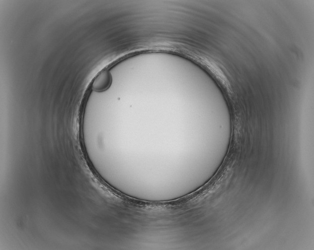 X0000112500944200908311449