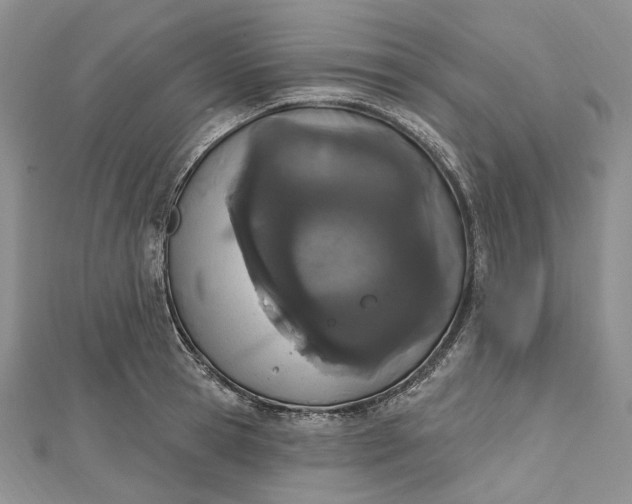 X0000112500945200908311449