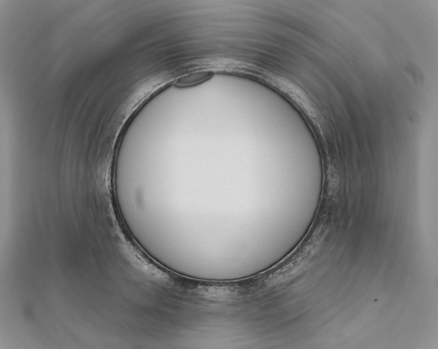 X0000112500946200908311449