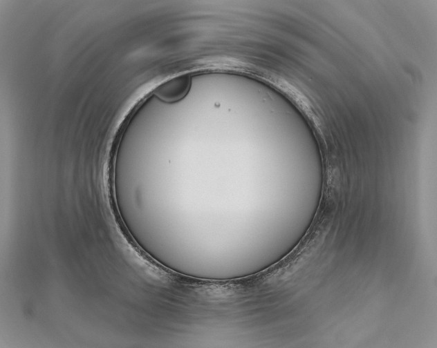 X0000112500947200908311449