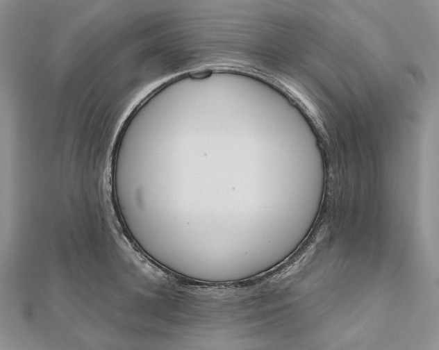 X0000112500948200908311449