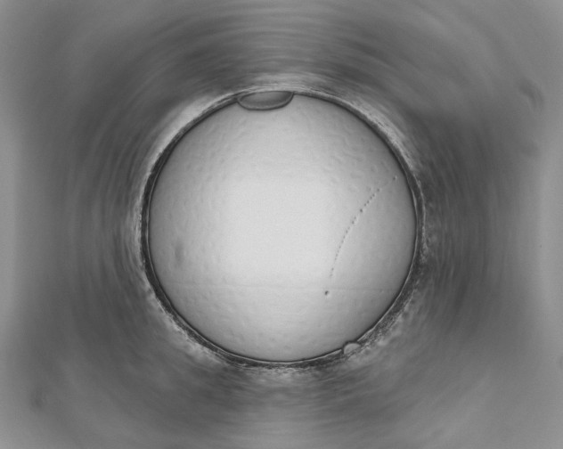 X0000112500949200908311449