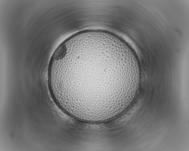 X0000112500951200908311449